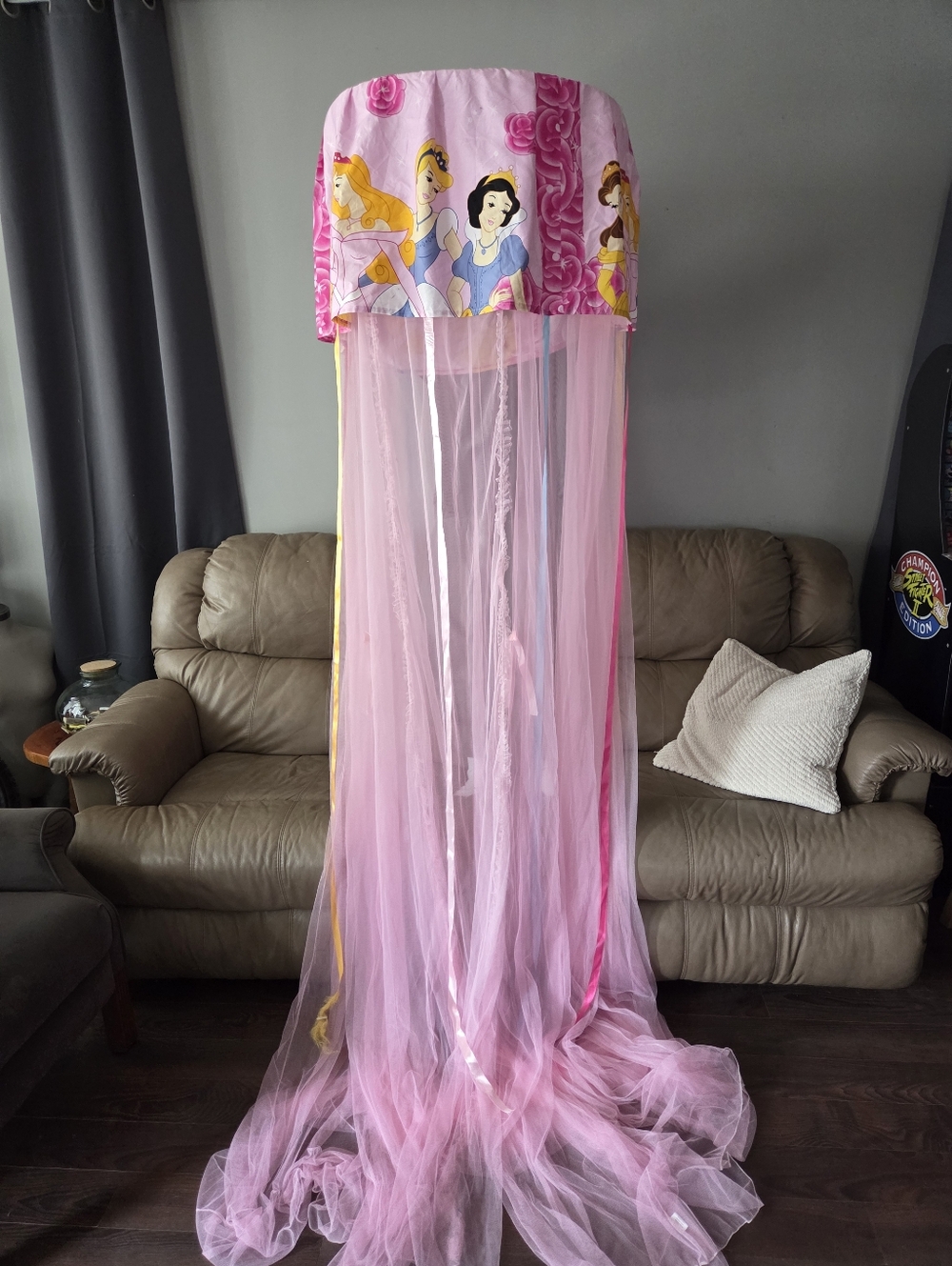 Vintage Disney Princess Pink Canopy Bed Net